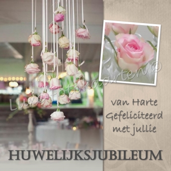 Jubileum - jubileum hangende rozen